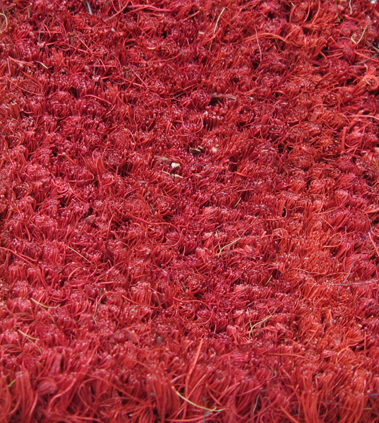 Coco Mats and Coco Matting by Coco Mat Supply